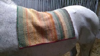 Cyd's new saddle blanket